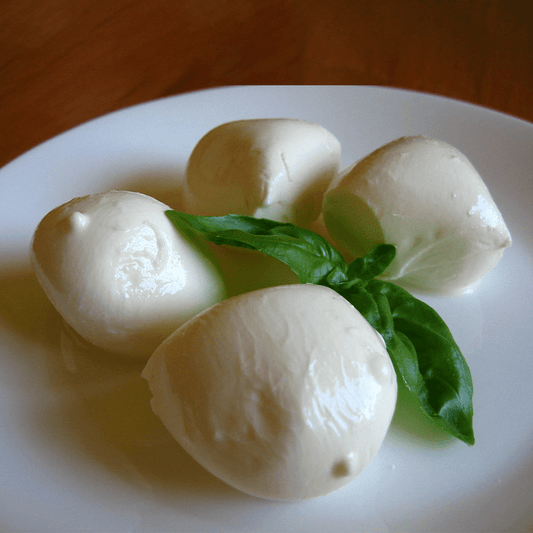 Italian Milk Cow Italy Bocconcini Mozzarella in Brine 1 Kg